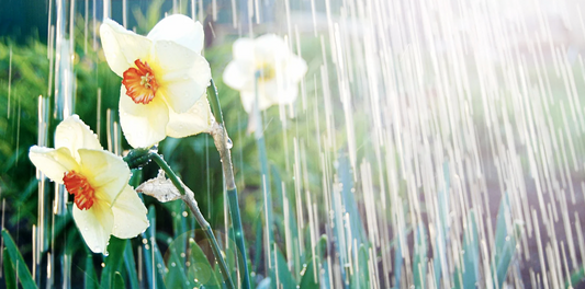 April Gardening Guide
