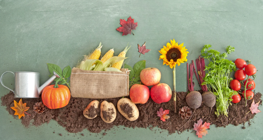 Organic Gardening for Beginners