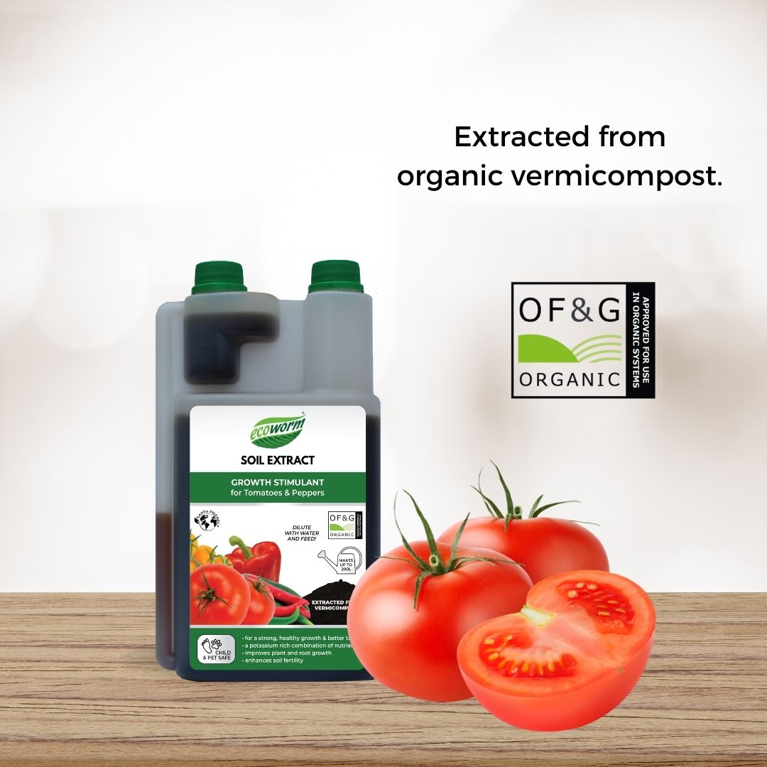 Ecoworm Soil Extract for Tomatoes & Peppers – Organic Worm Castings Fertiliser & Soil Improver 1L (makes 200L)