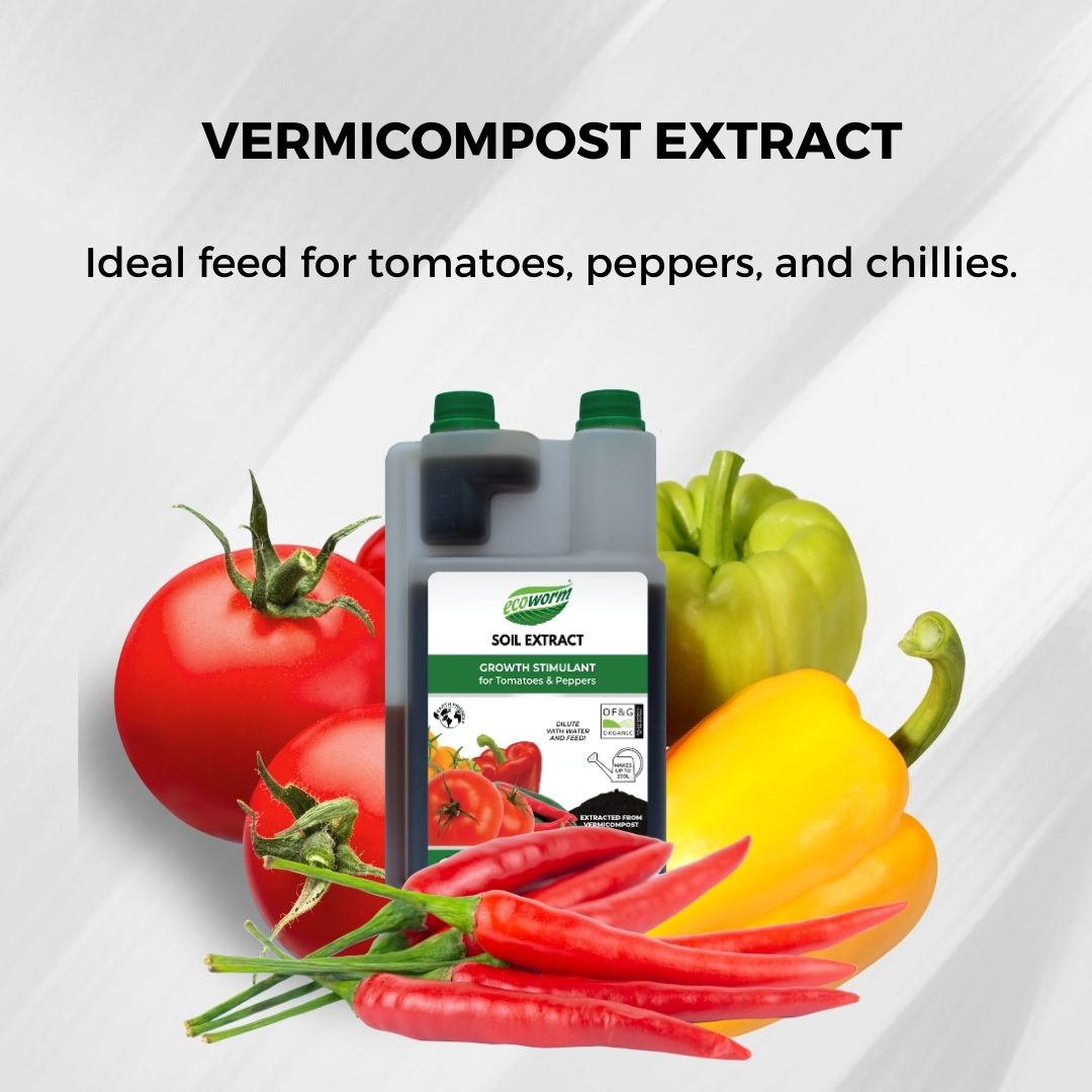 Ecoworm Soil Extract for Tomatoes & Peppers – Organic Worm Castings Fertiliser & Soil Improver 1L (makes 200L)