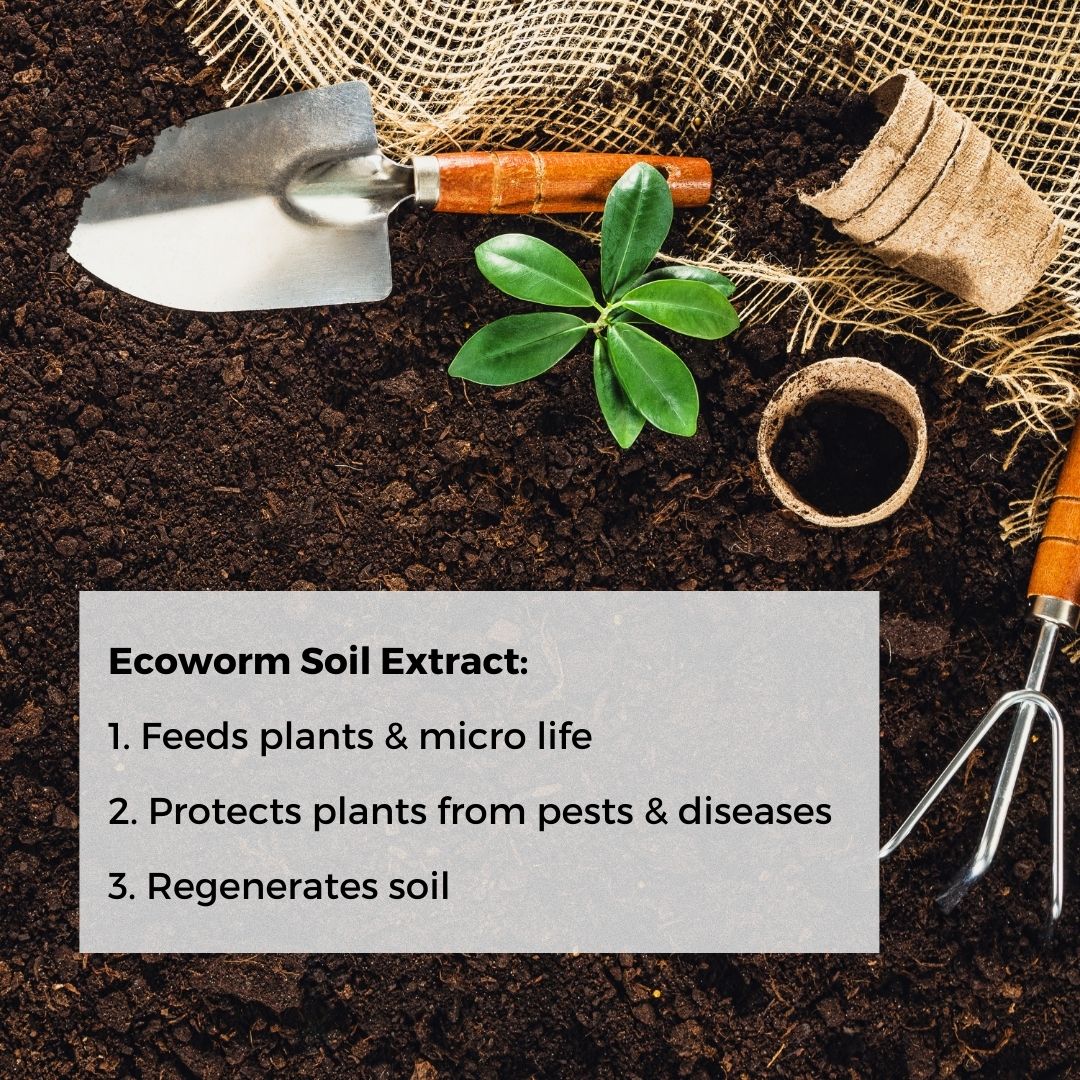 Ecoworm Soil Extract for Tomatoes & Peppers – Organic Worm Castings Fertiliser & Soil Improver 1L (makes 200L)
