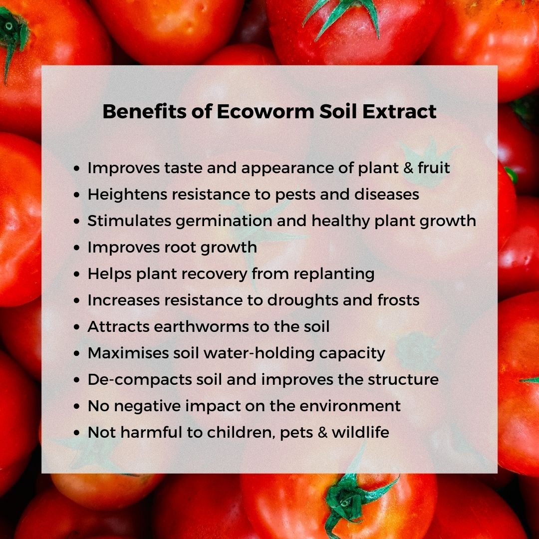 Ecoworm Soil Extract for Tomatoes & Peppers – Organic Worm Castings Fertiliser & Soil Improver 1L (makes 200L)