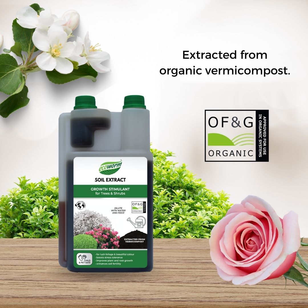 Ecoworm Soil Extract for Trees & Shrubs – Organic Worm Castings Fertiliser & Soil Improver 1L (makes 200L)