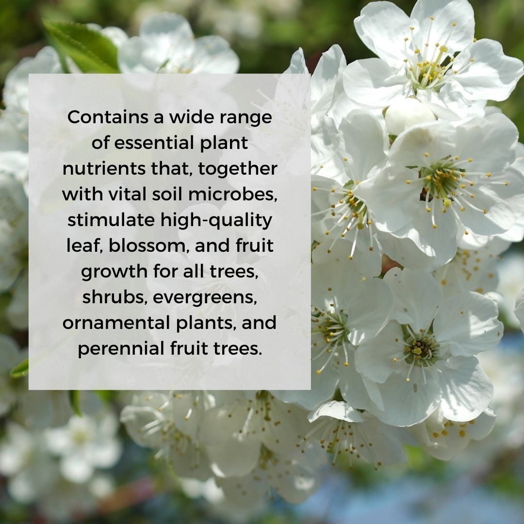 Ecoworm Soil Extract for Trees & Shrubs – Organic Worm Castings Fertiliser & Soil Improver 1L (makes 200L)