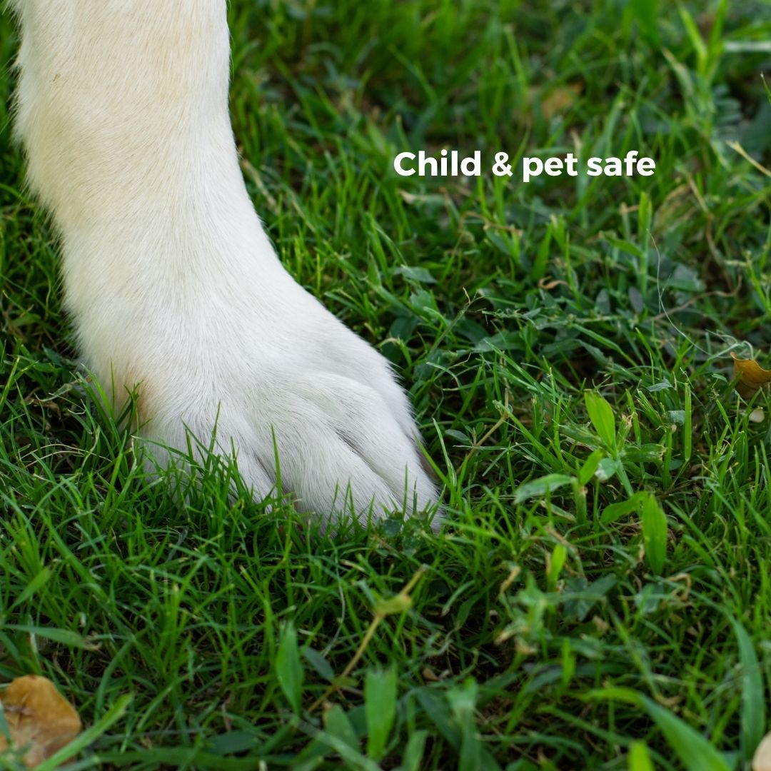 Ecoworm Soil Extract for Lawns - Organic Worm Castings Lawn Fertiliser & Soil Regenerator – 1 L Makes 200 L