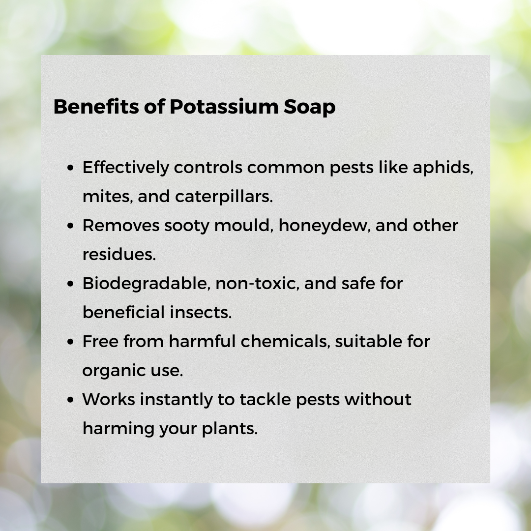 Ecoworm Potassium Soap - Natural Horticultural Soap & Bug Spray – Ready-to-Use 0.5L