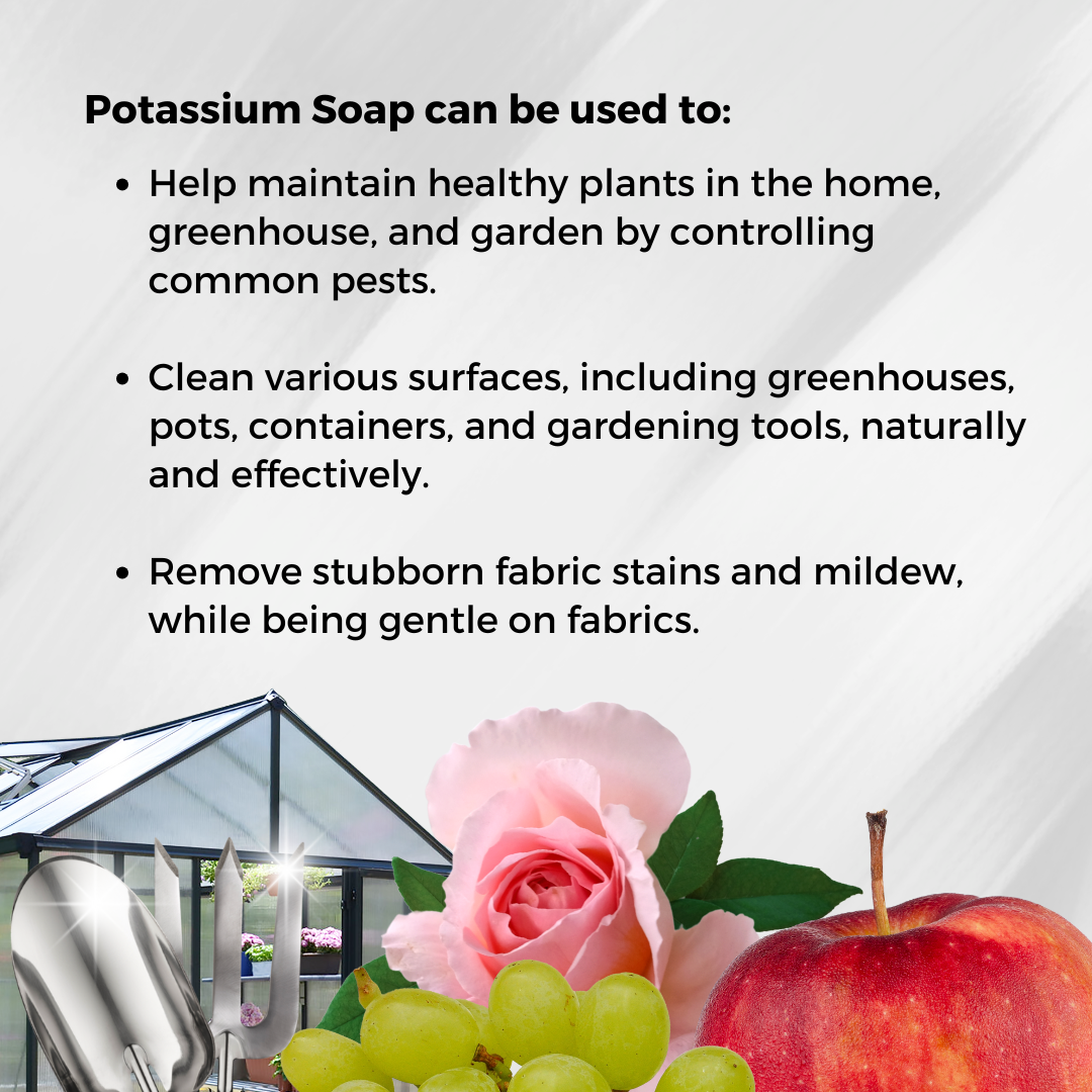 Ecoworm Potassium Soap - Natural Horticultural Soap & Bug Spray – Ready-to-Use 0.5L