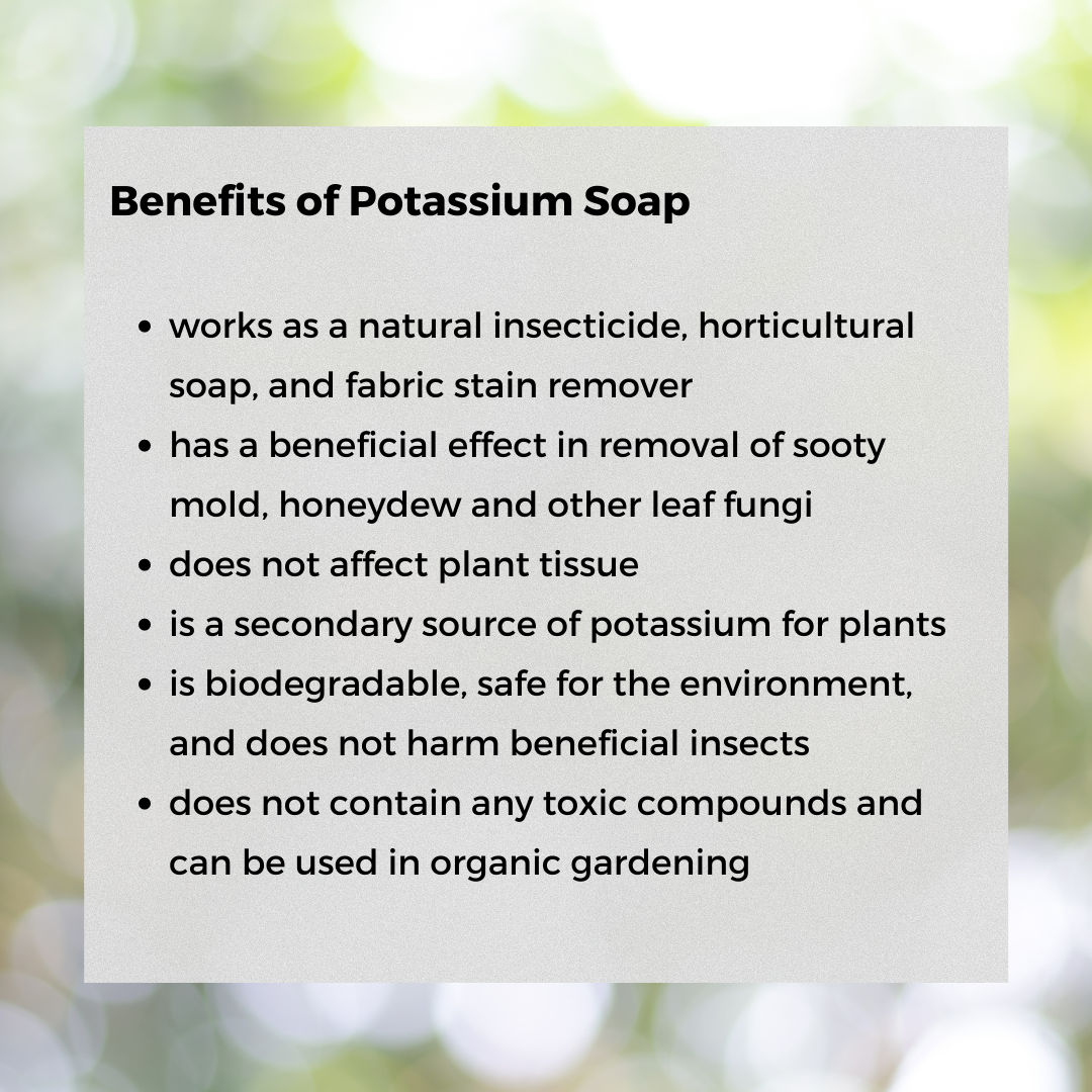 Ecoworm Potassium Soap Concentrate 1L