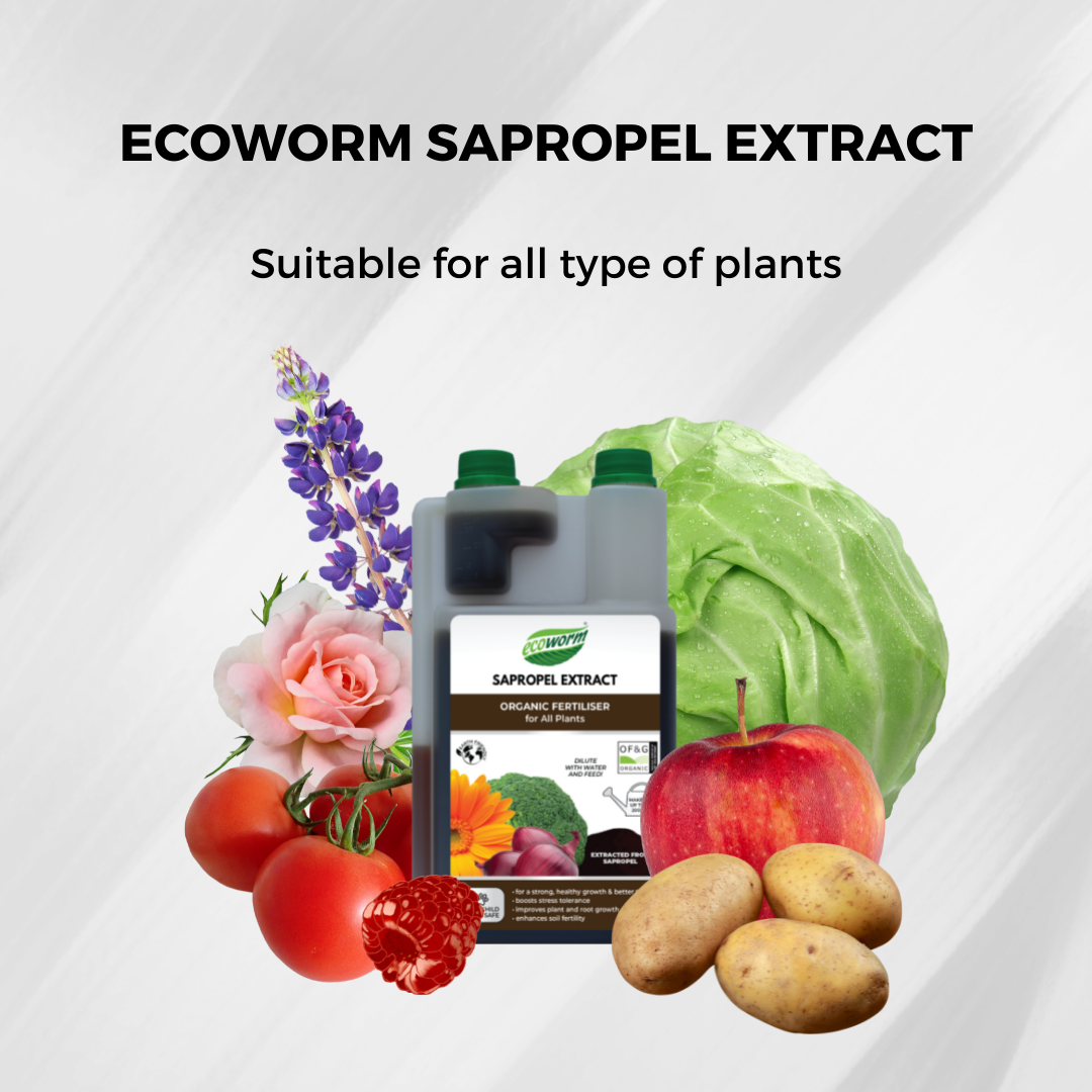 Ecoworm Sapropel Extract for All Plants - Organic Liquid Fertiliser & Soil Regenerator – Microbe-Rich Natural Feed (1 L makes 200 L)