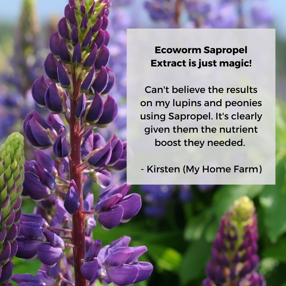 Ecoworm Sapropel Extract for All Plants - Organic Liquid Fertiliser & Soil Regenerator – Microbe-Rich Natural Feed (1 L makes 200 L)