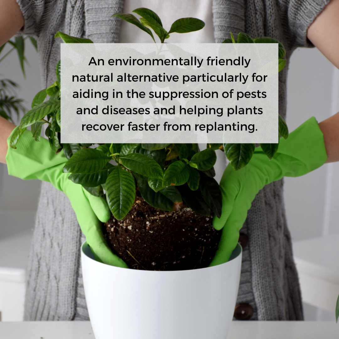 Ecoworm Sapropel Extract for All Plants - Organic Liquid Fertiliser & Soil Regenerator – Microbe-Rich Natural Feed (1 L makes 200 L)