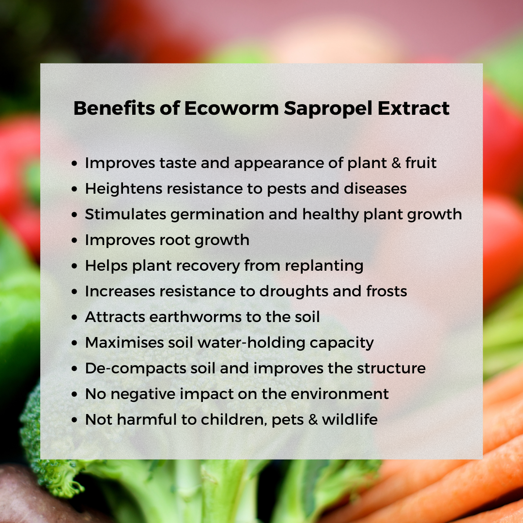 Ecoworm Sapropel Extract for All Plants - Organic Liquid Fertiliser & Soil Regenerator – Microbe-Rich Natural Feed (1 L makes 200 L)