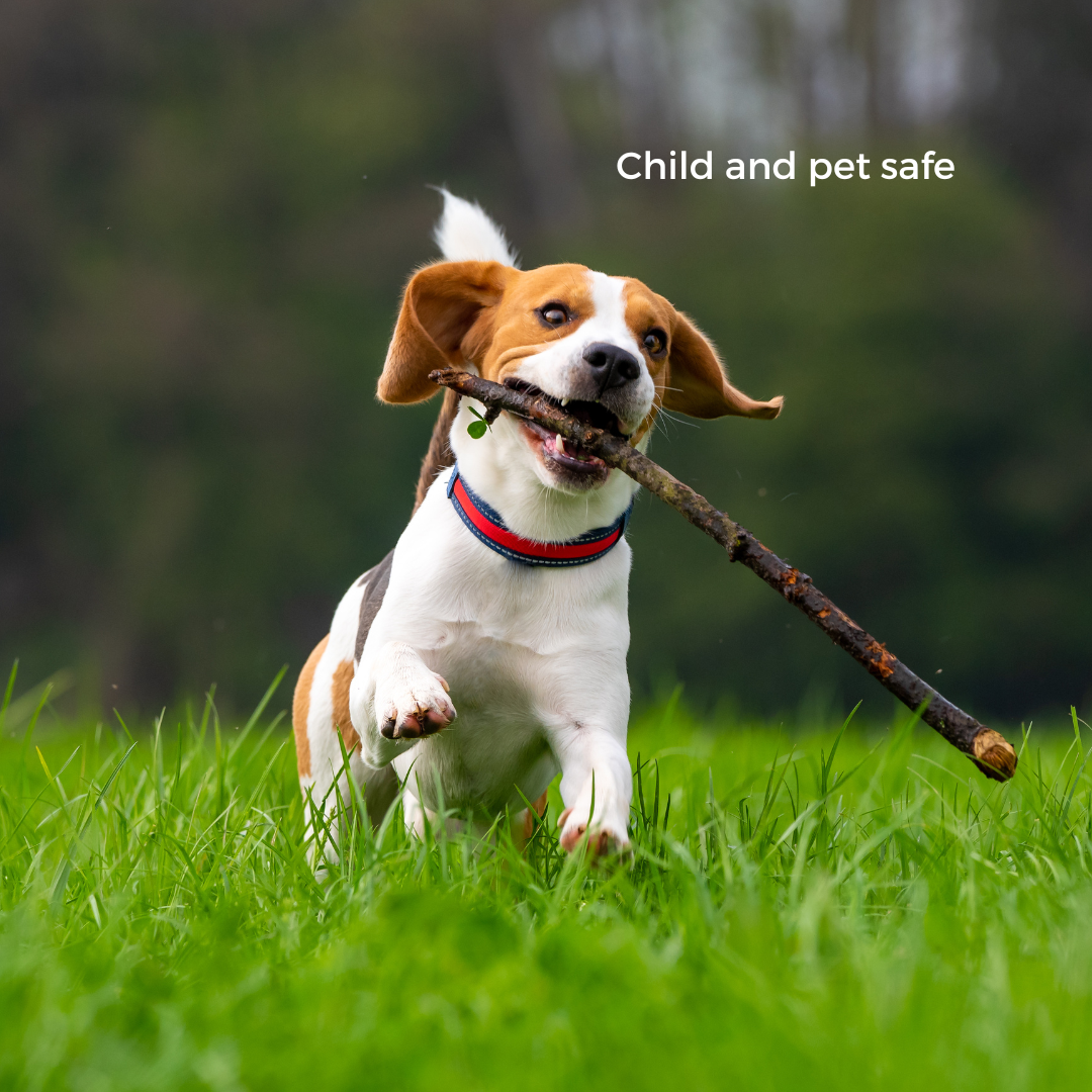 Ecoworm Sapropel Extract for All Plants - Organic Liquid Fertiliser & Soil Regenerator – Microbe-Rich Natural Feed (1 L makes 200 L)