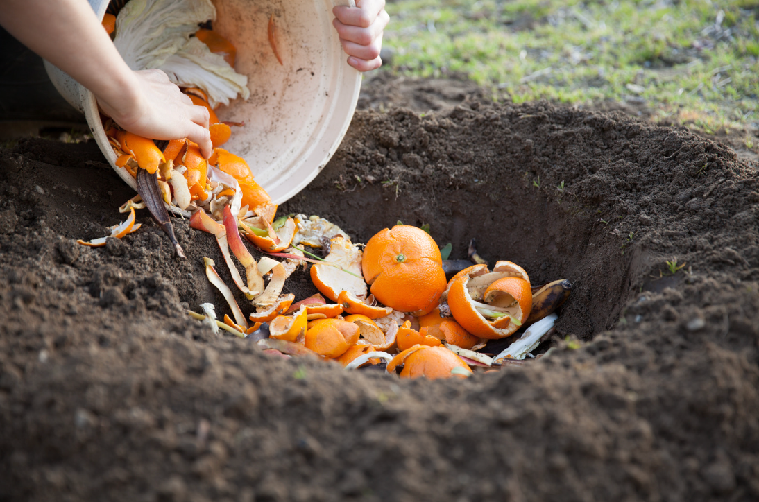 What Not to Add to Your Compost: Avoid These Items for Healthy, Odor-Free Composting