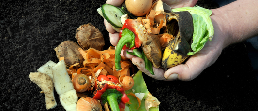 DIY Composting: Turning Kitchen Scraps into Garden Gold