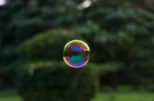 What Soap Is Safe for Plants? The Complete Guide for Gardeners