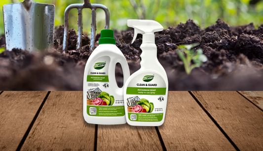 Potassium Soap for Plants and Insects