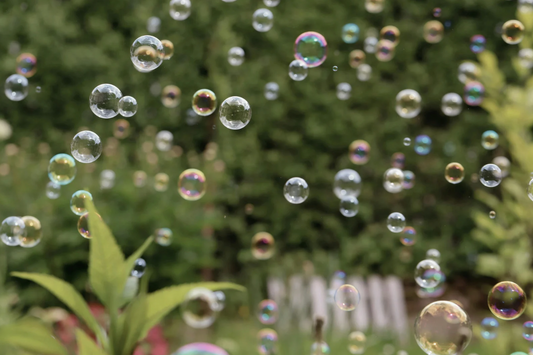 Potassium Soap Spray for Plants