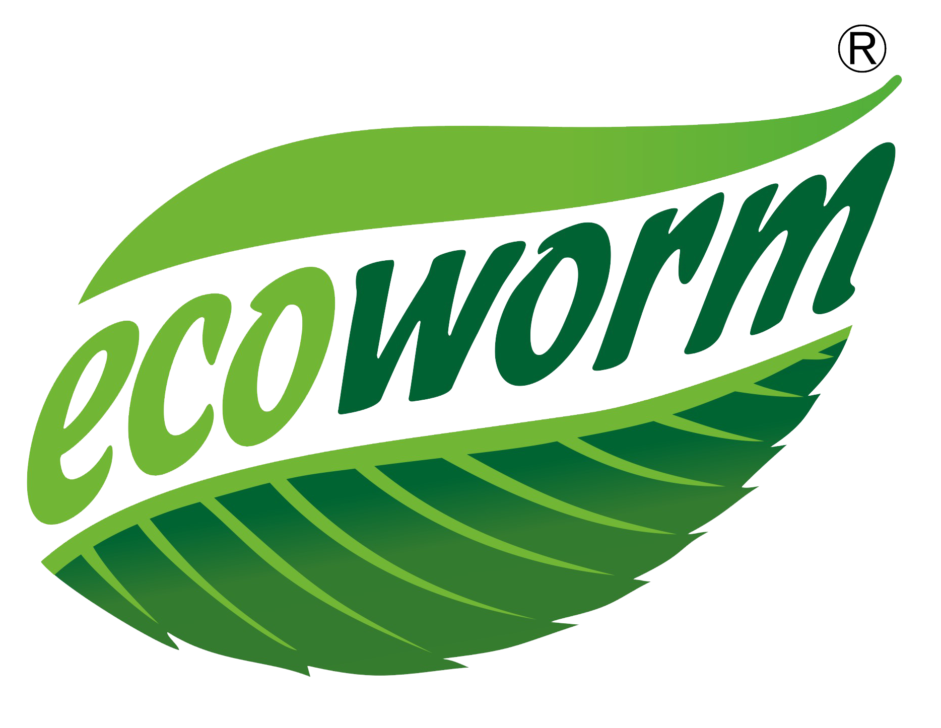 Ecoworm