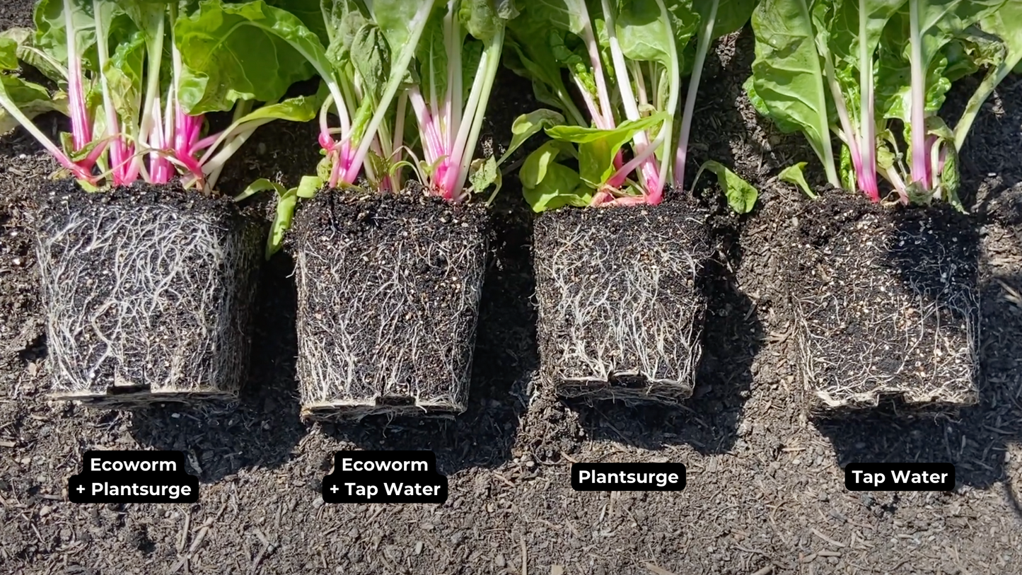 Plantsurge x Ecoworm Bundle: Unleash the Magic of Garden Transformation!