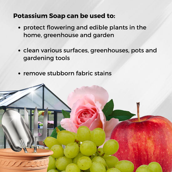 Ecoworm Potassium Soap Organic Insecticide and Horticultural Soap